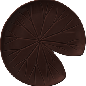 ATT 10 - MARROM FRANCES